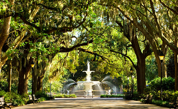 Savwi attraction park