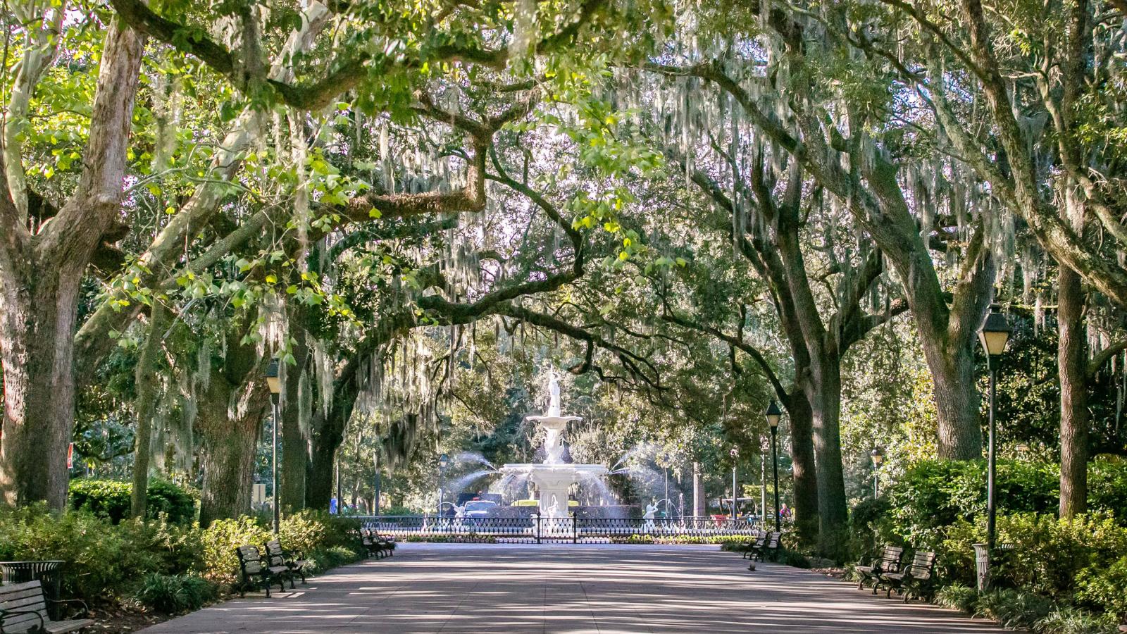 Green Forsyth Park Fountain