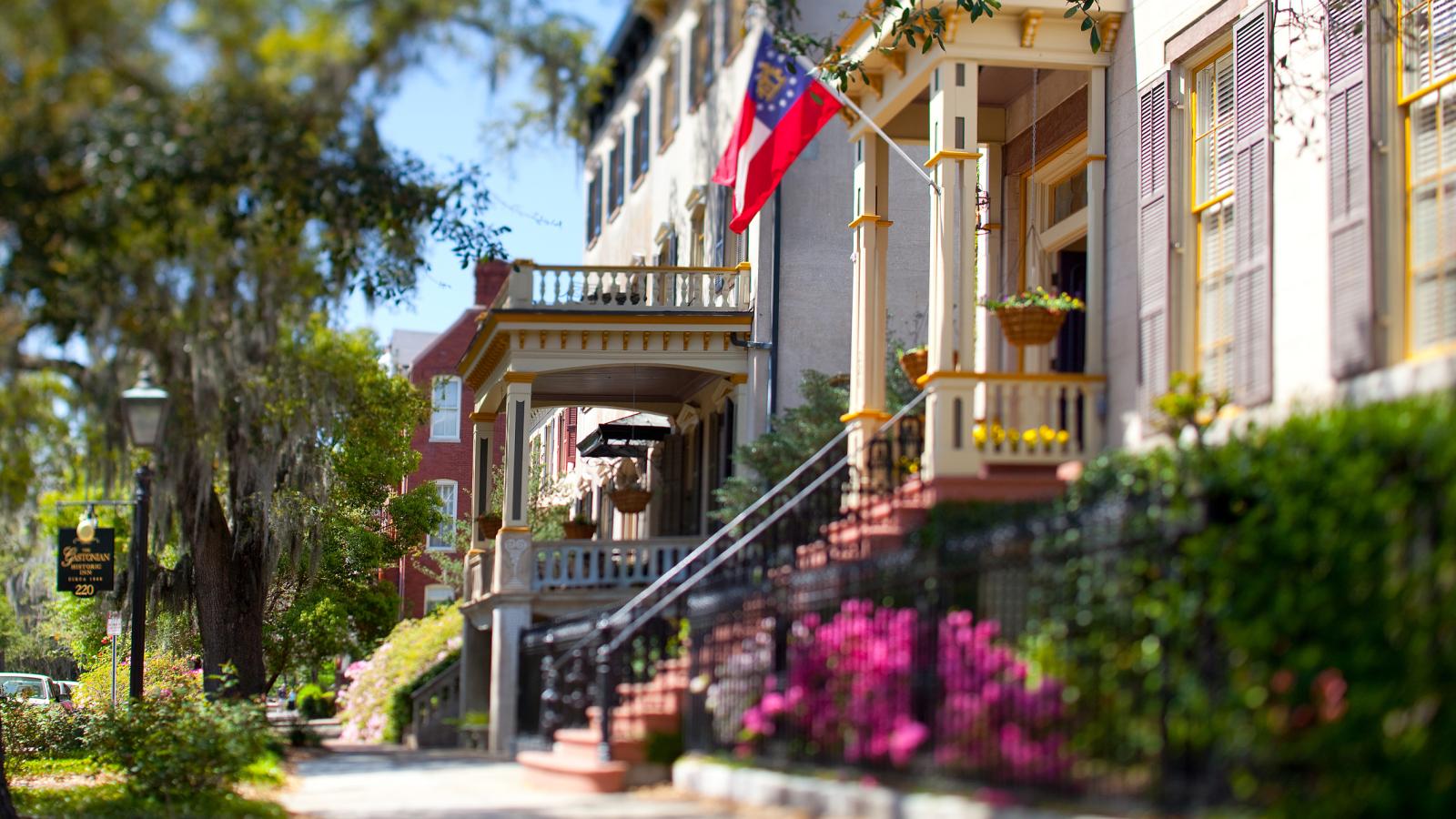 Jones Street in the Spring