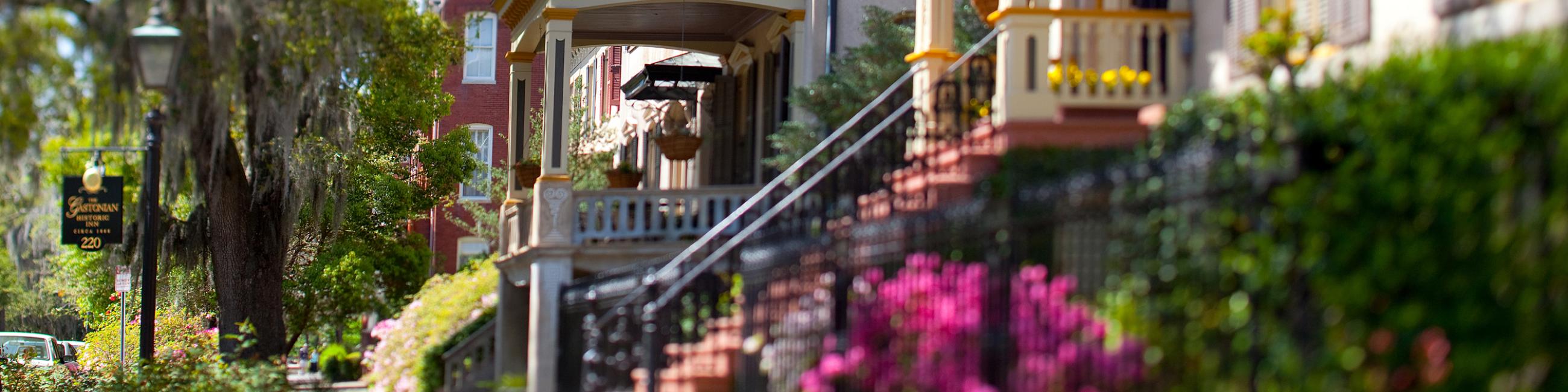 Jones Street in the Spring