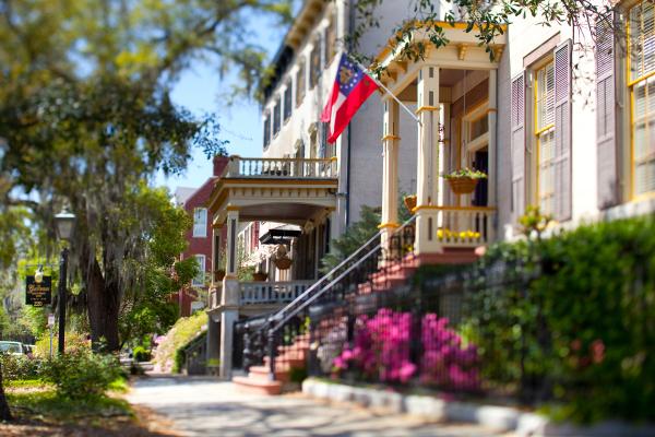 Jones Street in the Spring