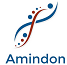 Amindon, Inc.